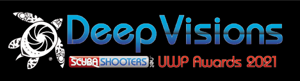 Deep Visions Contest